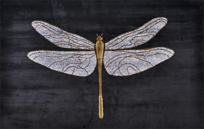 Dragonfly-1